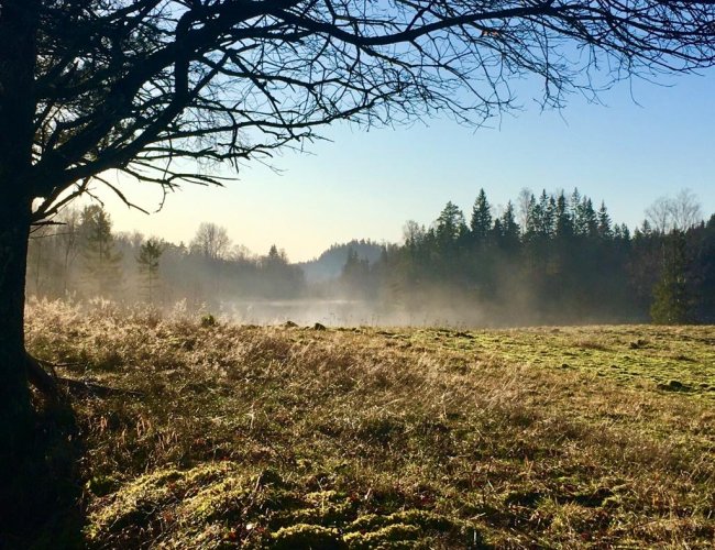 Meditation on Hibernation